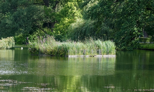 Das Wasser im Stadtgraben bereitet immer wieder Sorgen.