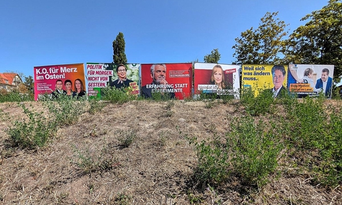 Wahlplakate vor der Landtagswahl in Sachsen-Anhalt (Archiv)