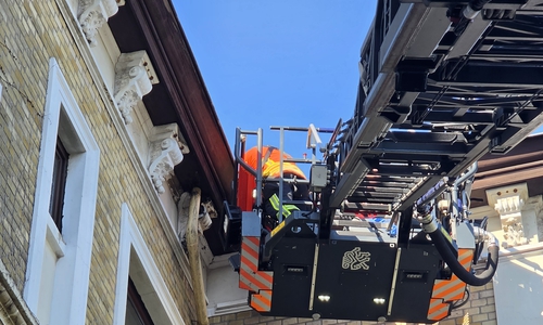 Die Feuerwehr rettete den Greifvogel von der Drehleiter aus.