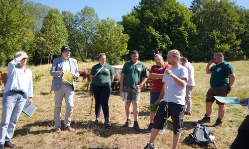 Die Besuchergruppe rund um Umweltminister Meyer macht sich ein Bild von der eindrucksvollen Artenvielfalt in den Oberharzer Bergwiesen, ein besonders schützenswerter Naturraum. 