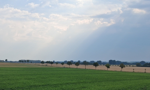 Hier könnten in Zukunft Windräder stehen.