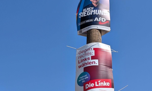 Wahlplakate vor der Landtagswahl in Sachsen-Anhalt (Archiv)