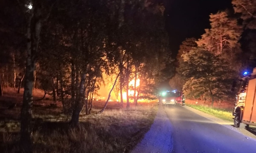 Erneut waren die Feuerwehren aus dem Bereich Königslutter gefordert.
