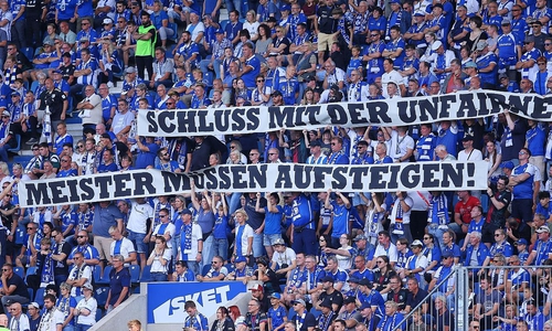 Fans protestieren für Regionalliga-Reform (Archiv)