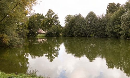 Der Schlossteich in Salder sei in Besorgnis erregendem Zustand, sagen Anwohner. Die Stadt arbeitet an einem Konzept zu ihren Stillgewässern.