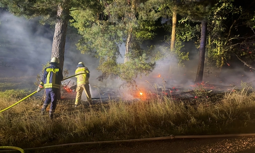 Mehrere Waldbrände forderten die Einsatzkräfte am Wochenende.