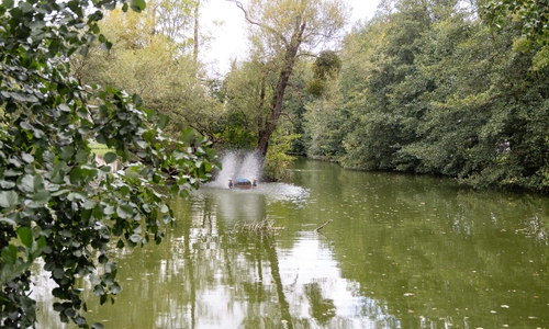 Am Schlossteich in Salder wird die Stadt bald Maßnahmen durchführen.