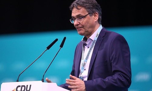Peter Liese (Archiv)