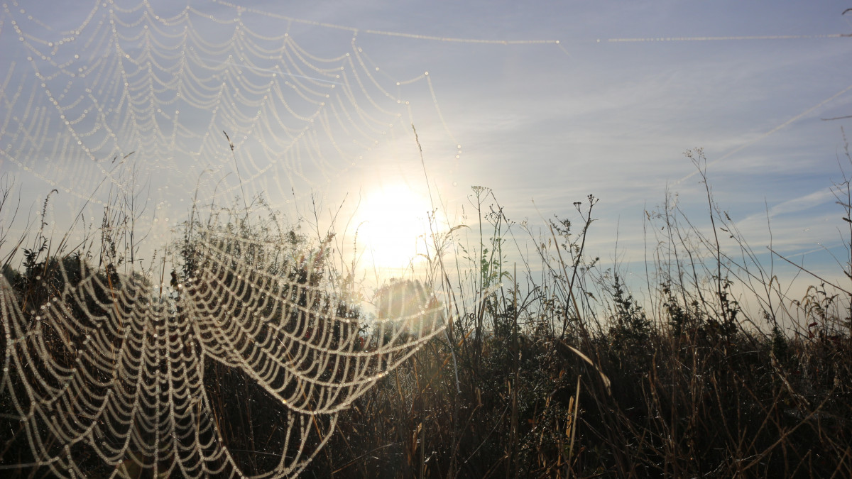 K-lte-und-etwas-Schnee-Der-Winter-klopft-zaghaft-an
