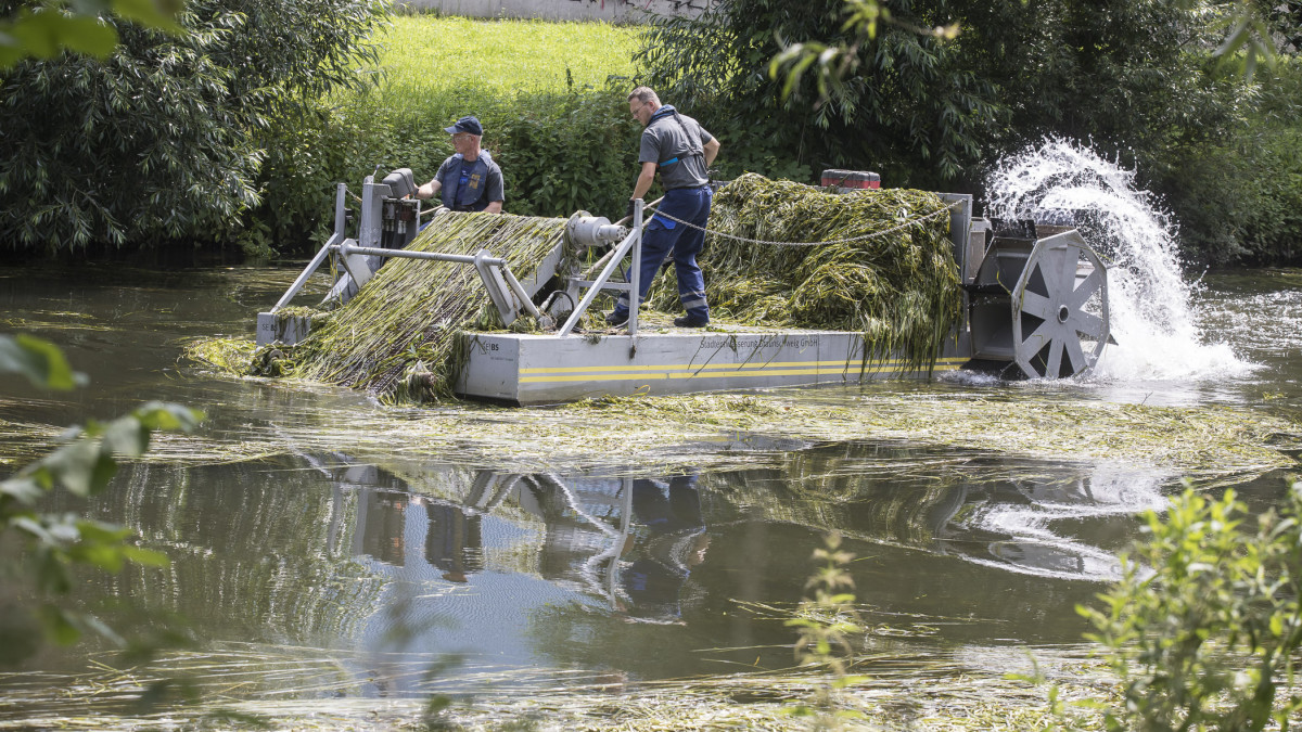 Auf der Oker wird gemäht regionalHeute.de
