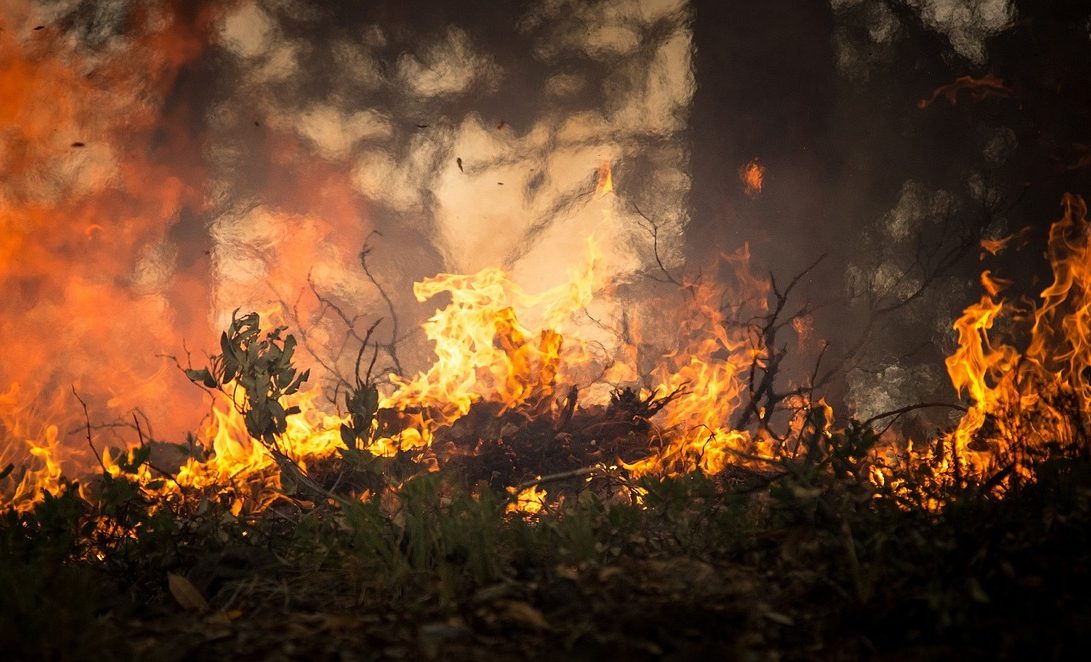 Anhaltende-Trockenheit-l-sst-Waldbrandgefahr-ansteigen