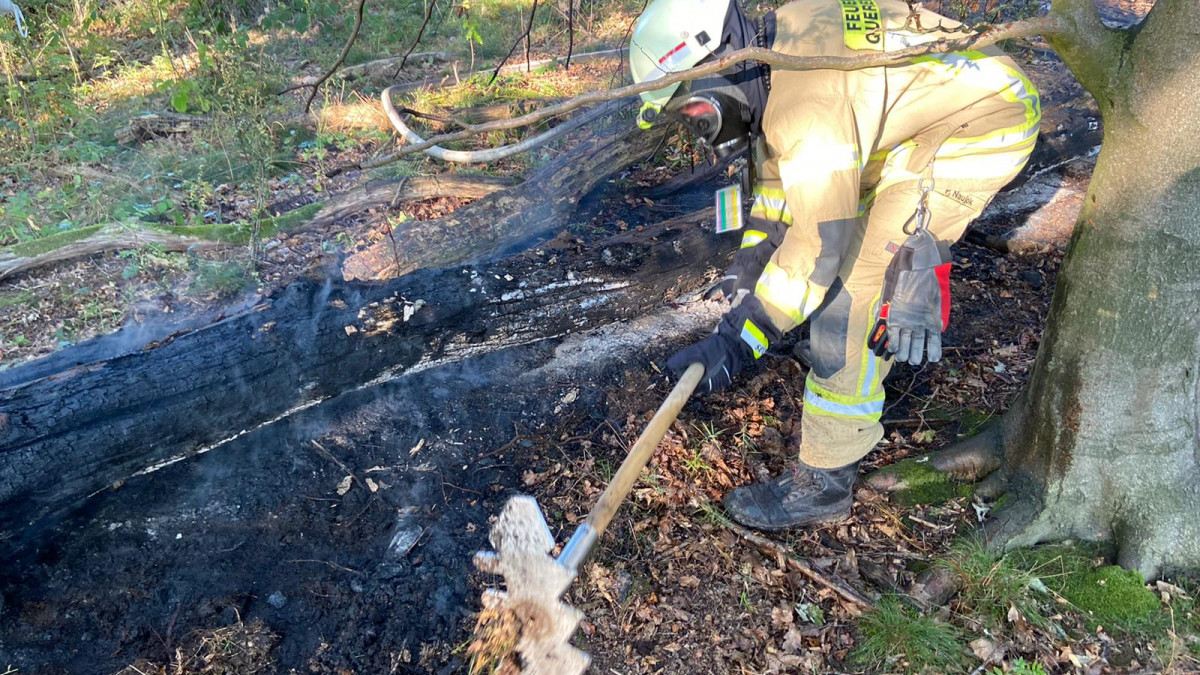 Waldbrand Bei Querenhorst: Polizei Geht Von Brandstiftung Aus ...