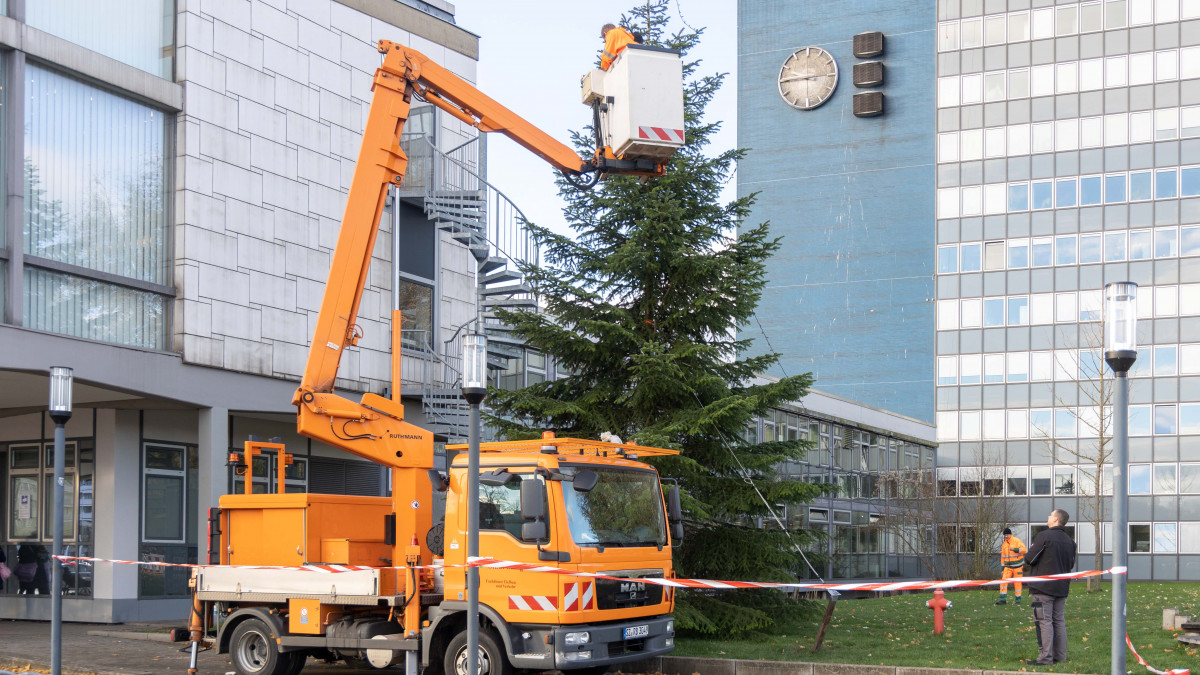 Salzgitter: Weihnachtsbaum Vor Rathaus Etwas Kürzer Als Sonst ...