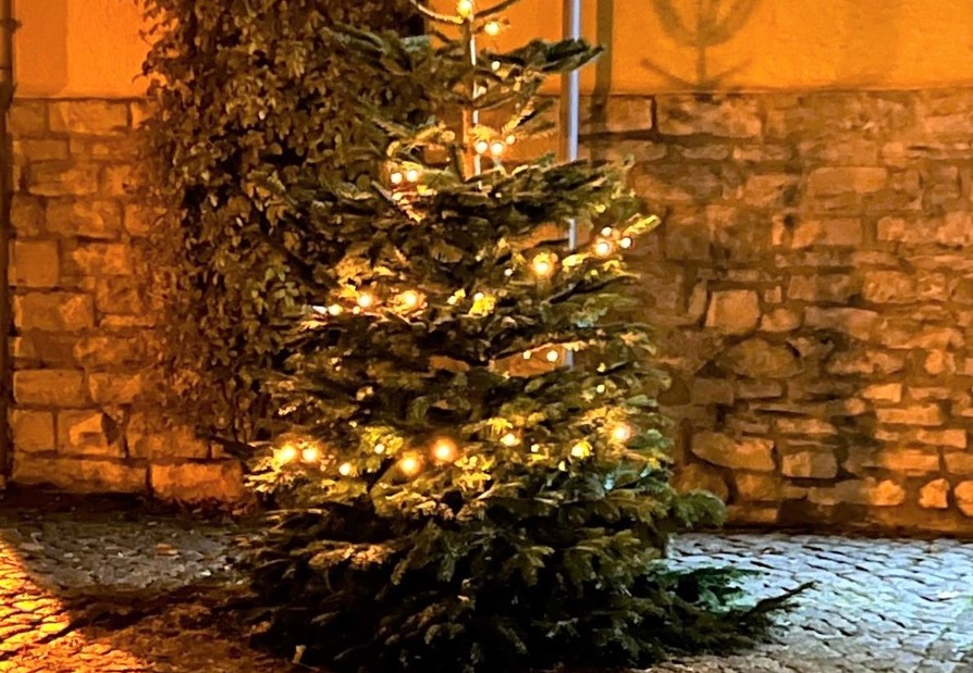 Hoiersdorfer entsetzt Diebe klauen Weihnachtsbaum vom Dorfplatz