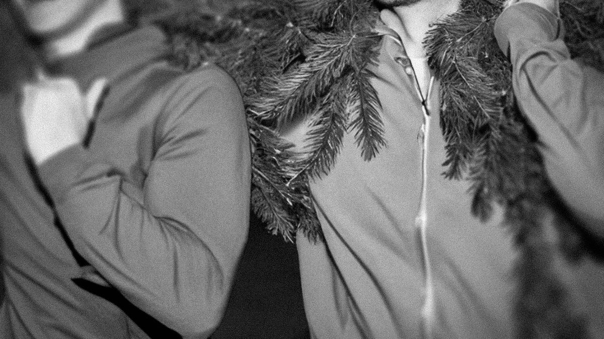 Diebe-klauen-Weihnachtsbaum-von-S-lfelder-Dorfplatz