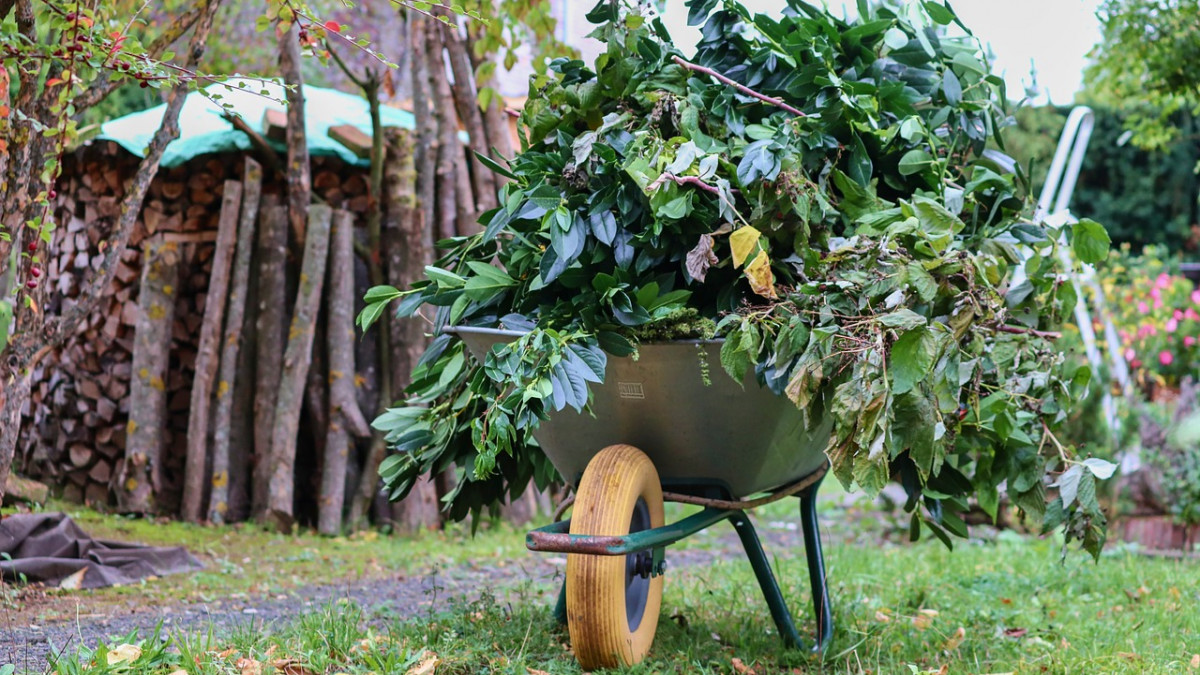 Ab-ins-Gr-ne-Was-Gartenbesitzer-wissen-sollten