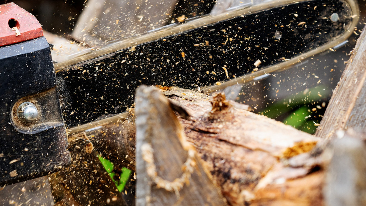 F-r-Sporthallen-Abriss-Stadt-l-sst-B-ume-bei-diesem-Gymnasium-f-llen