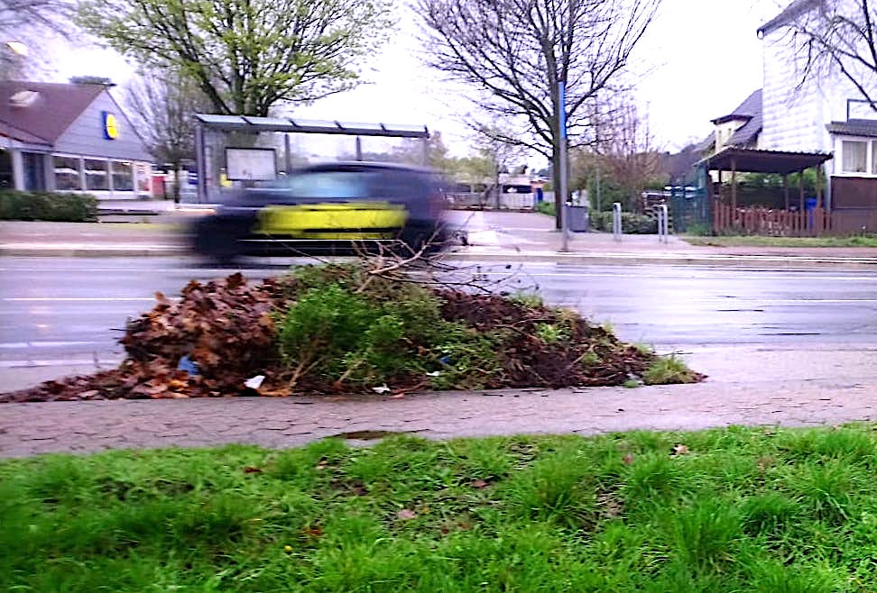 Gifhorn: Ärger über nicht abgeholte Grünabfälle - Der Grund