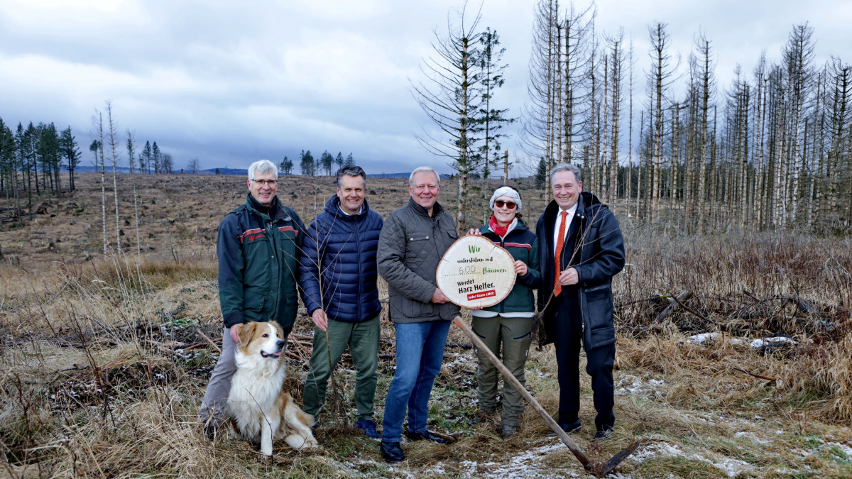 600-neue-B-ume-f-r-den-Harz-Volksbank-BRAWO-unterst-tzt-Wiederaufforstung