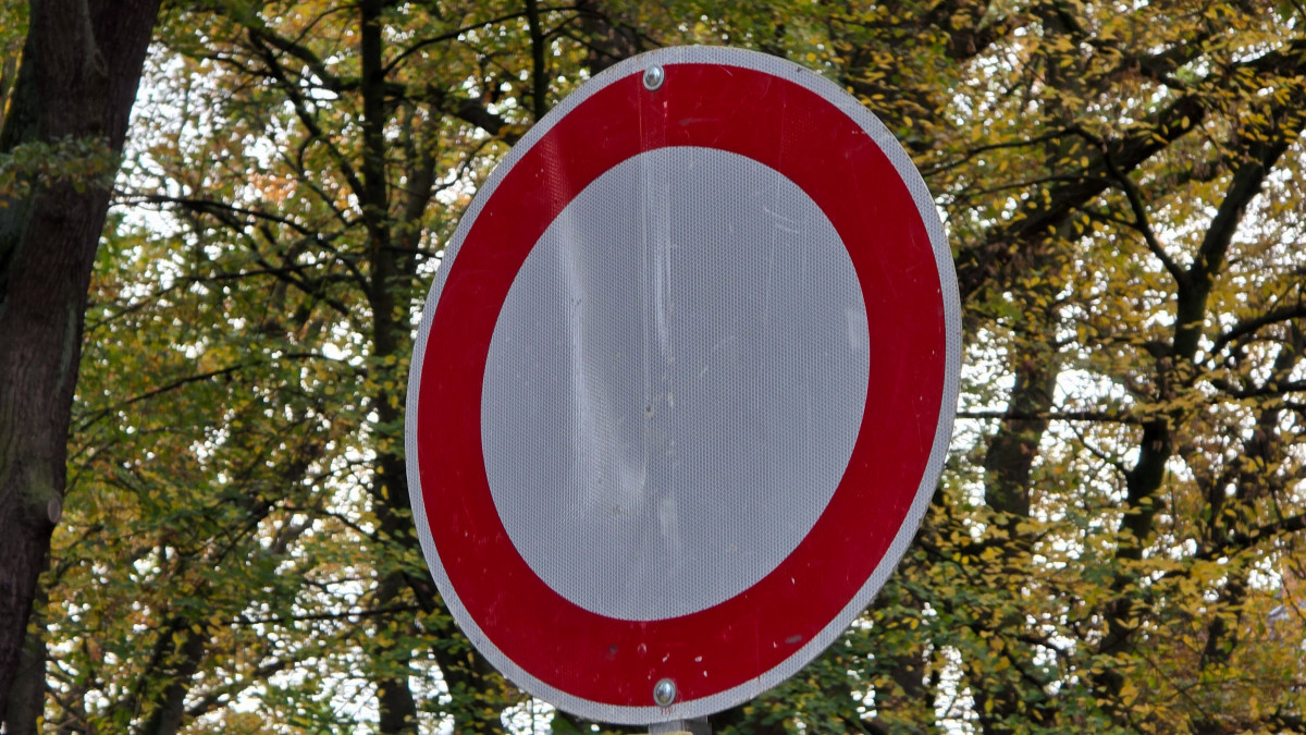 Schutz-f-r-Feuersalamander-Diese-Stra-e-ist-bis-Januar-gesperrt