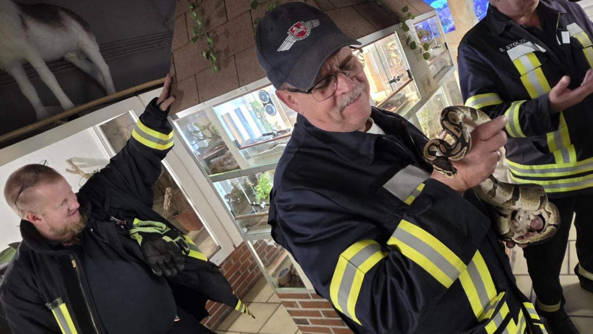 Einsatzstichwort-Tierrettung-Feuerwehr-bte-mit-Pferden-und-Schlangen