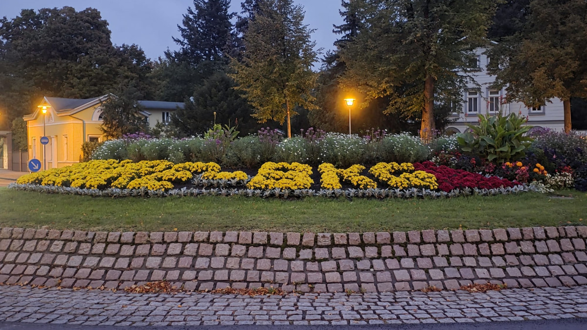 Blumenr-tsel-am-Kreisel-Was-will-uns-die-Stadt-damit-sagen-