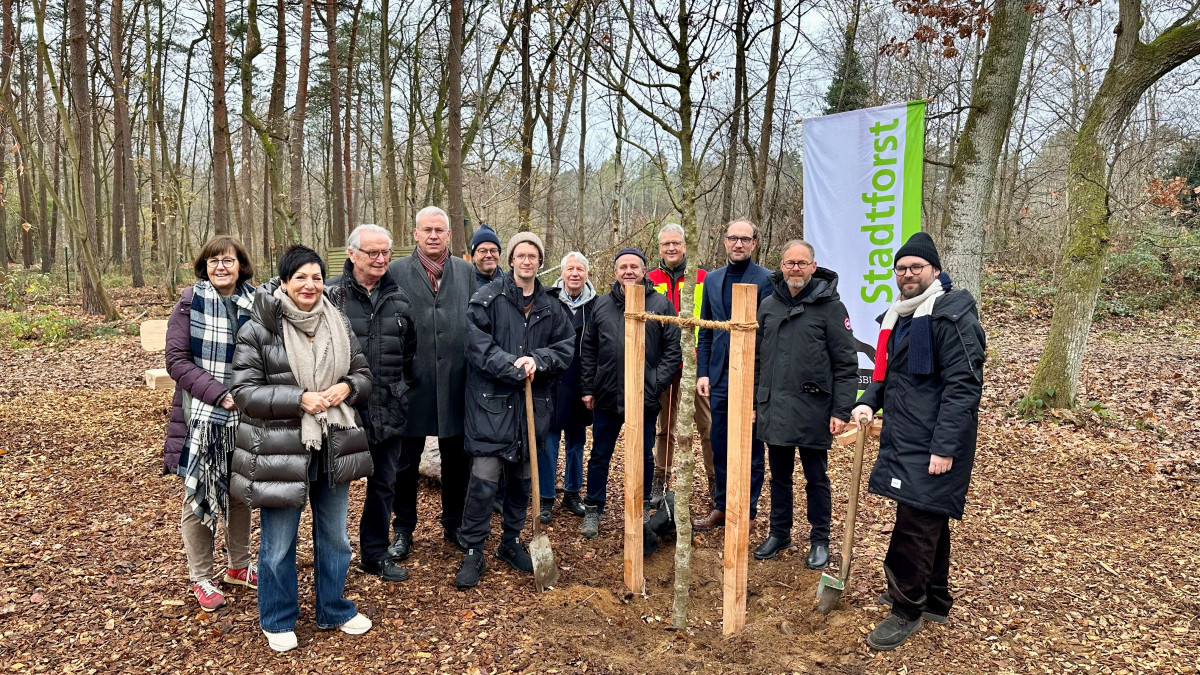Wolfsburger-Kunstprojekt-schenkt-krummen-B-umen-neues-Leben