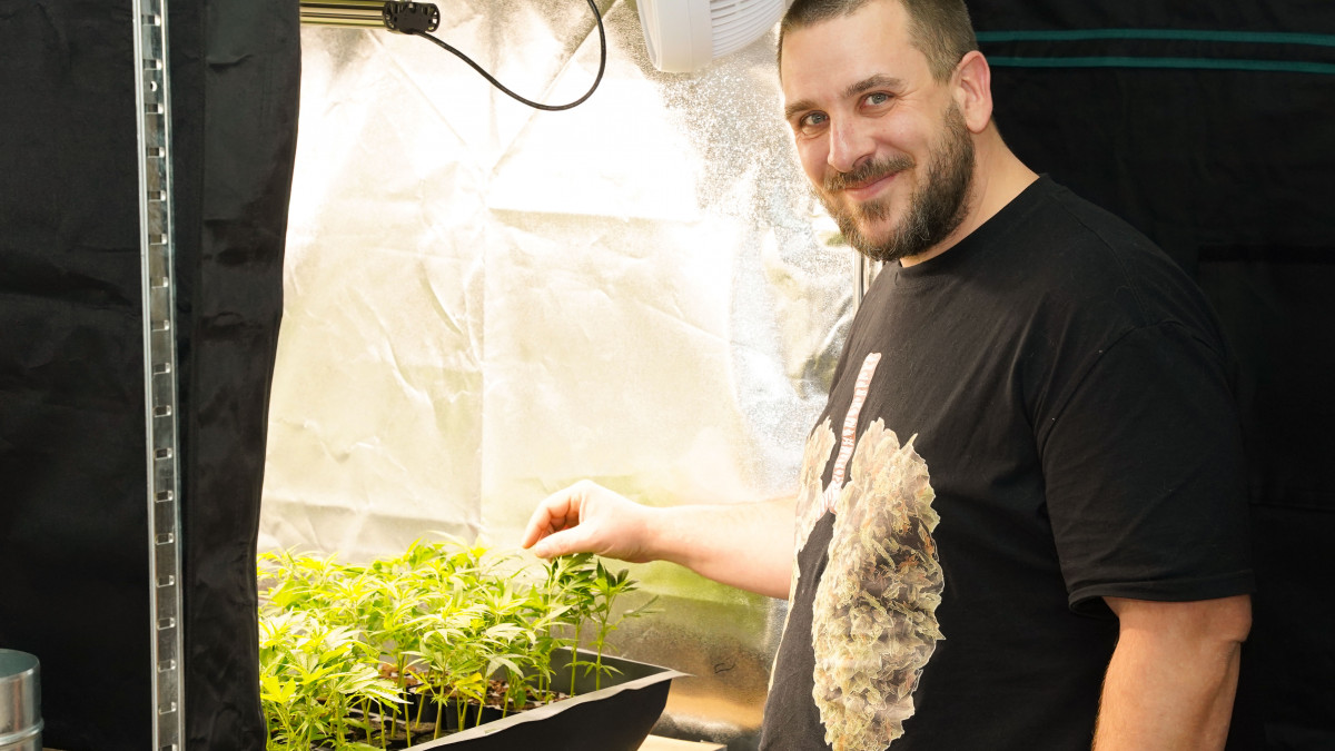 Cannabis selbst anbauen: Dieser Laden in Braunschweig hilft dabei |  regionalHeute.de