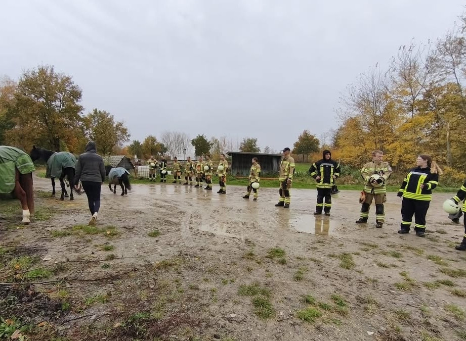 Feuerwehr-probte-den-sicheren-Umgang-mit-Pferden-im-Einsatzfall