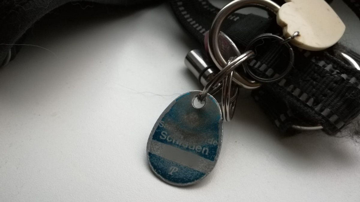 Gemeinde-Schladen-Werla-Hundemarke-sollen-abgeschafft-werden