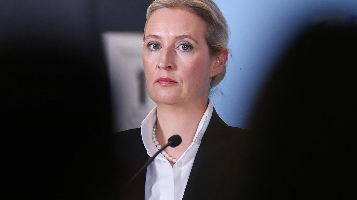 insa umfrage afd und spd