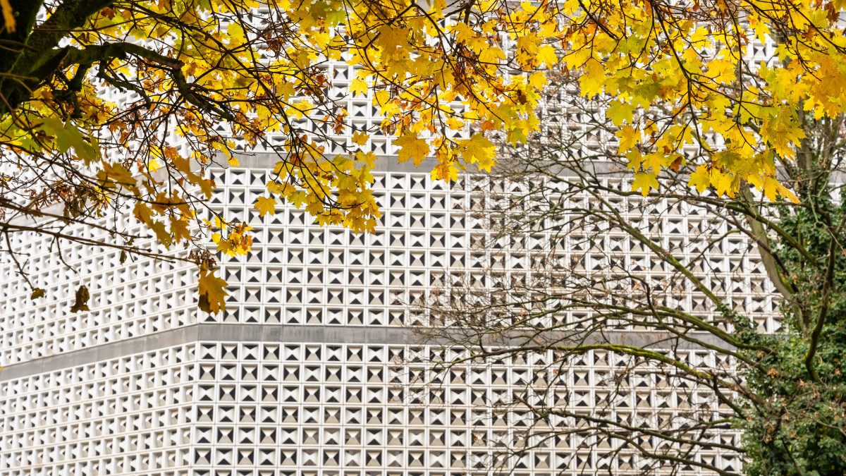 BOMA-Erstes-Zwischenergebnis-liegt-vor