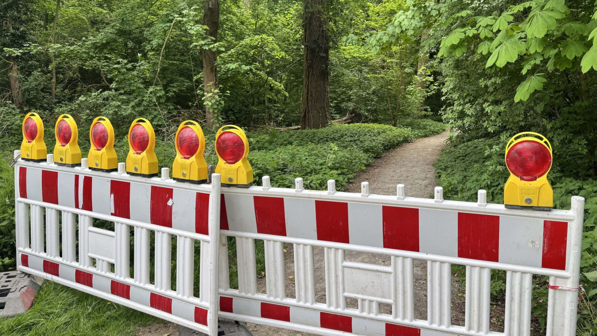 B-ume-nicht-mehr-sicher-Hier-wurden-mehrere-Wege-gesperrt