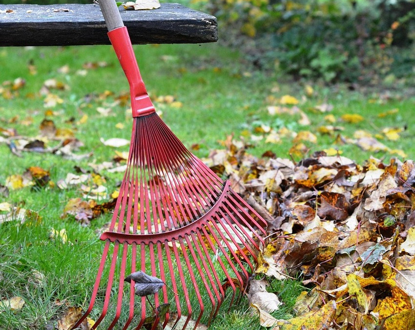 Garten-im-Herbst-Warum-Unordnung-berlebenswichtig-sein-kann