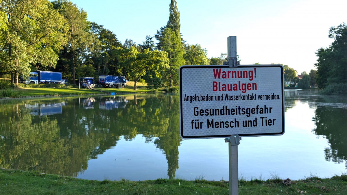 Blaualgen-im-Stadtgraben-So-ist-der-Stand