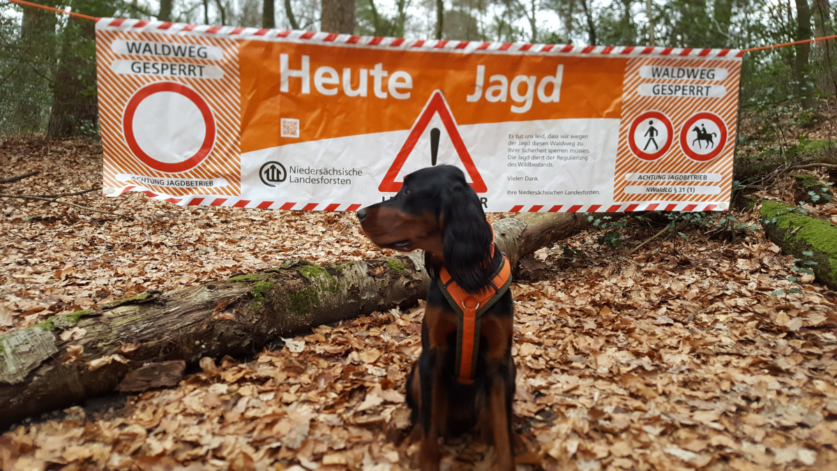 J-ger-unterwegs-Diese-Kreisstra-e-wird-am-Samstag-gesperrt