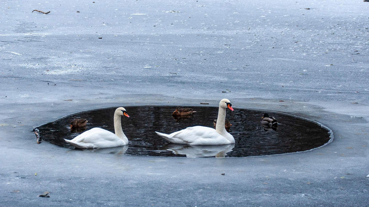 Betreten-von-Eisfl-chen-Das-gilt-in-Peine