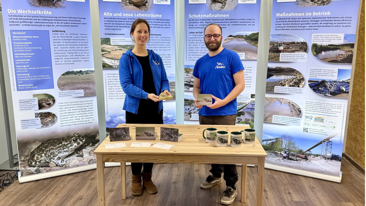 Eine-Kr-te-k-mpft-gegen-das-Aussterben-So-wurde-ihr-geholfen