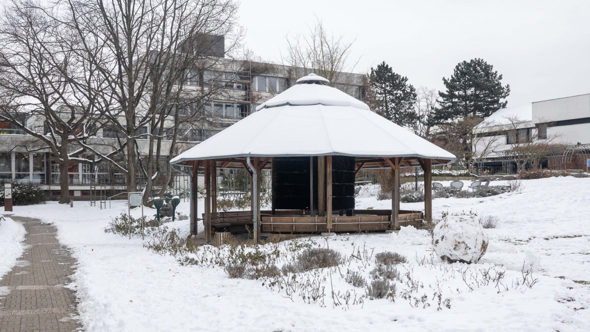 Das-Ende-des-Mammutbaumes-im-Rosengarten-Es-gibt-noch-Fragen