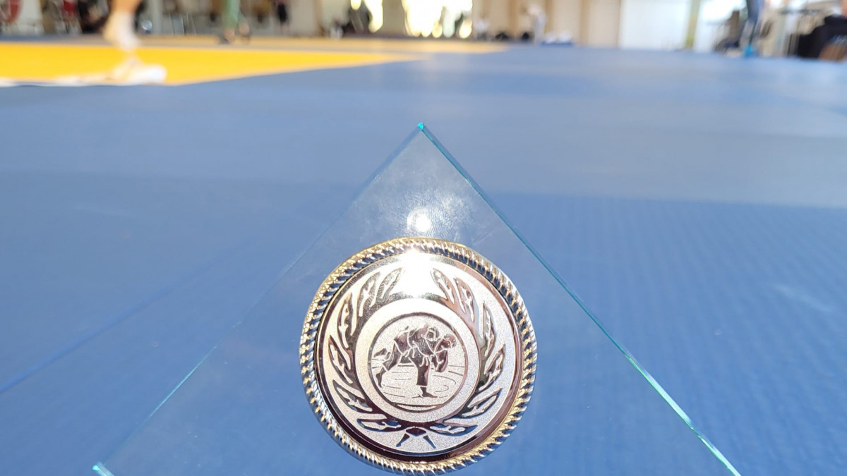 Judo-Boom in Braunschweig: Gymnasium Neue Oberschule feiert Rekord