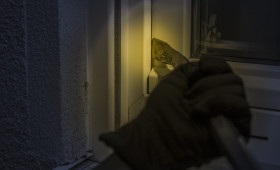 Wolfsburg: Einbruch in Einfamilienhaus - Schmuck und Uhren gestohlen