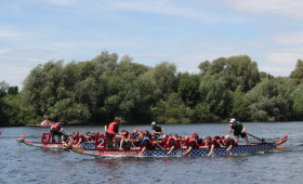 Teamgeist und Tempo: Der Countdown zum Drachenbootcup Salzgitter läuft