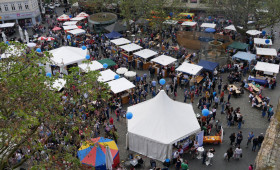 Das größte multikulturelle Fest der Region Braunschweig kündigt sich an