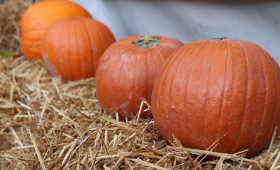 Die Gifhorner Fußgängerzone lädt wieder zum Herbstmarkt ein