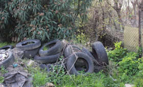 Illegal entsorgte Reifen in Meinersen: Das droht dem Verursacher