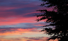 Alle Sternzeichen: Das Horoskop für den November