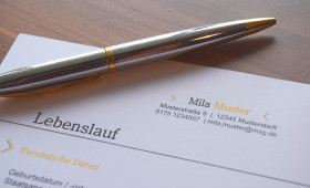 Zukunft gestalten: Berufsmesse für Schüler mit Förderbedarf in Goslar