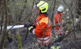 Anhaltende Trockenheit - Gefahr von Waldbränden steigt