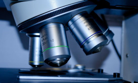 Alzheimer und Parkinson: Forscher aus der Region finden neuen Ansatz