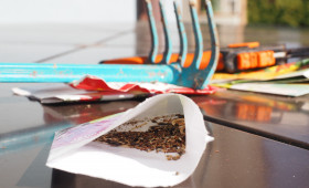 Diesen Sonntag ist Saatgutbörse in Braunschweig